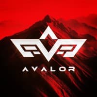 Avalor Investments